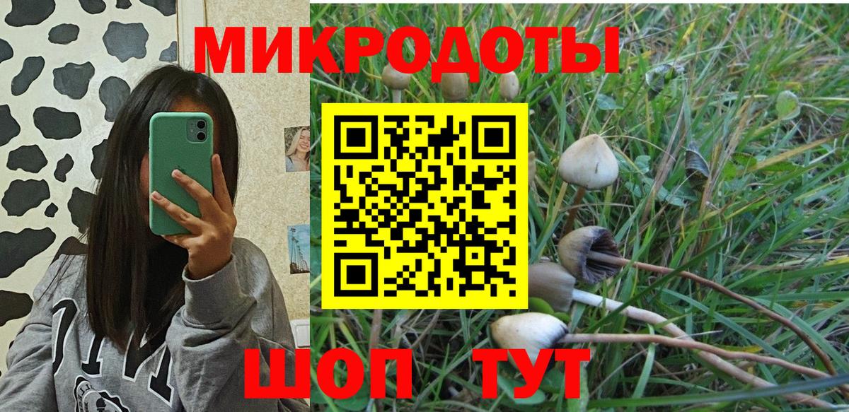 Галлюциногенные грибы мицелий Ростов-на-Дону
