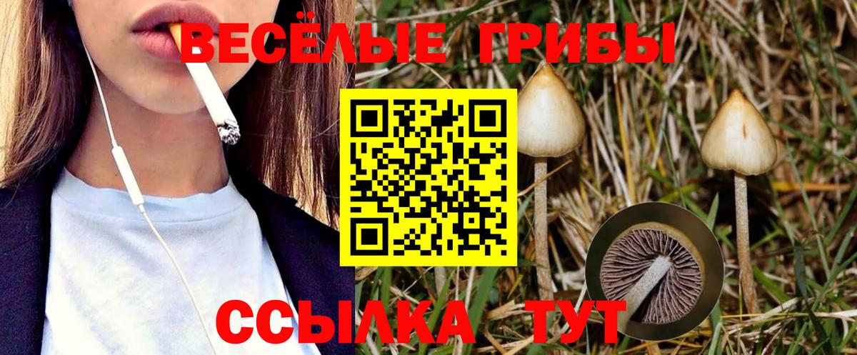 Псилоцибиновые грибы мухоморы  Галлюциногенные грибы GOLDEN TEACHER  Вход с VPN  Ростов-на-Дону 